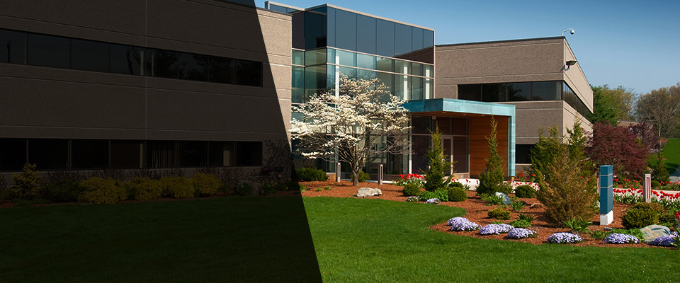 Rehoboth Beach Landscapers