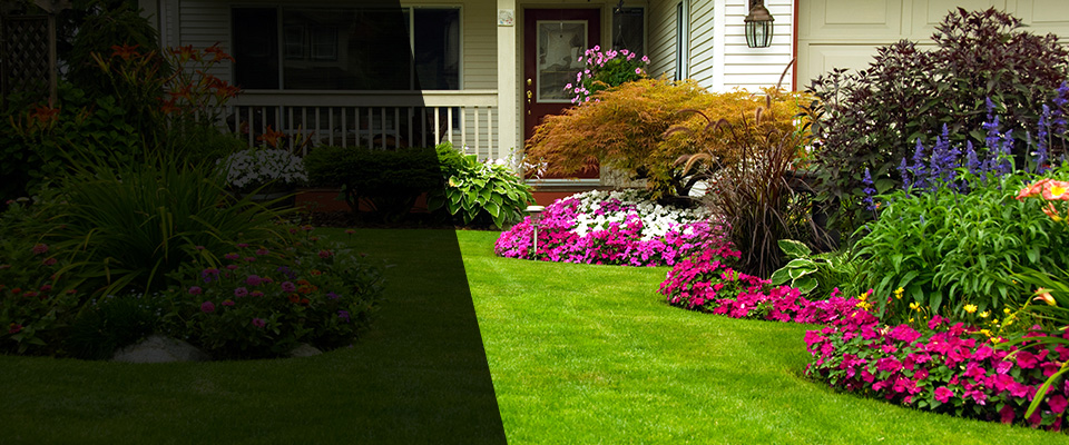 Rehoboth Beach Landscapers