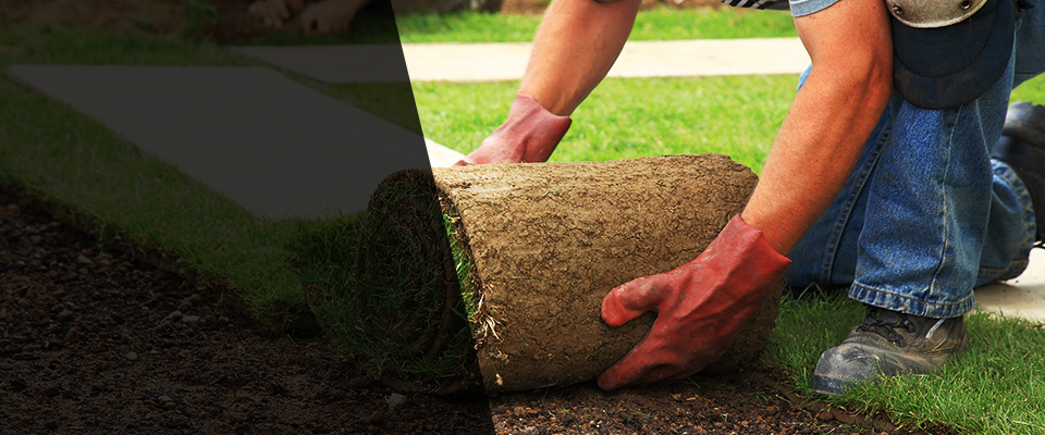 Rehoboth Beach Landscapers